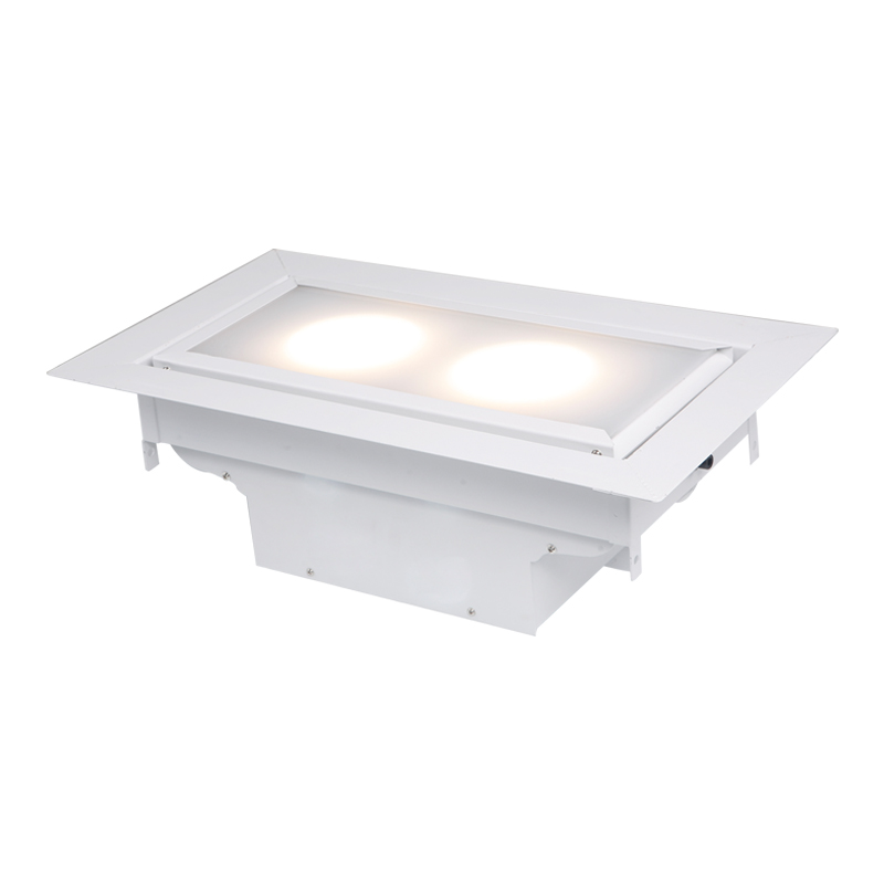 Built-in LED two head meeting light